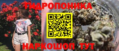 гидропоника Рязань