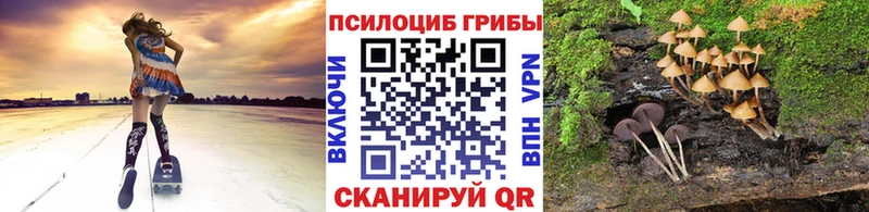 Галлюциногенные грибы Magic Shrooms Шуя