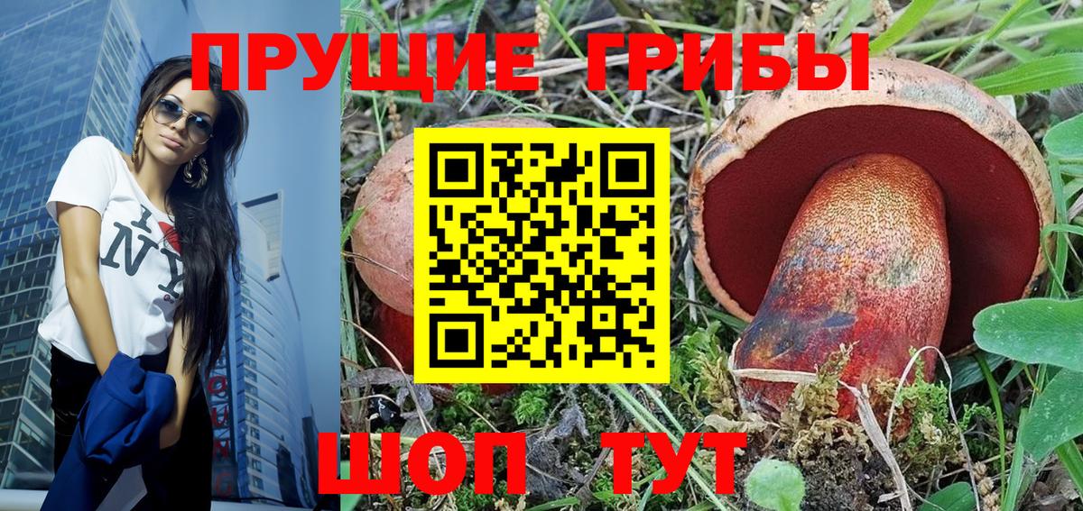 Галлюциногенные грибы Cubensis  Вход с VPN  Шуя  Псилоцибиновые грибы прущие грибы 