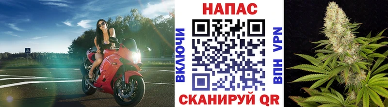 Бошки Шишки план  mega вход  Шуя  что такое наркотик 